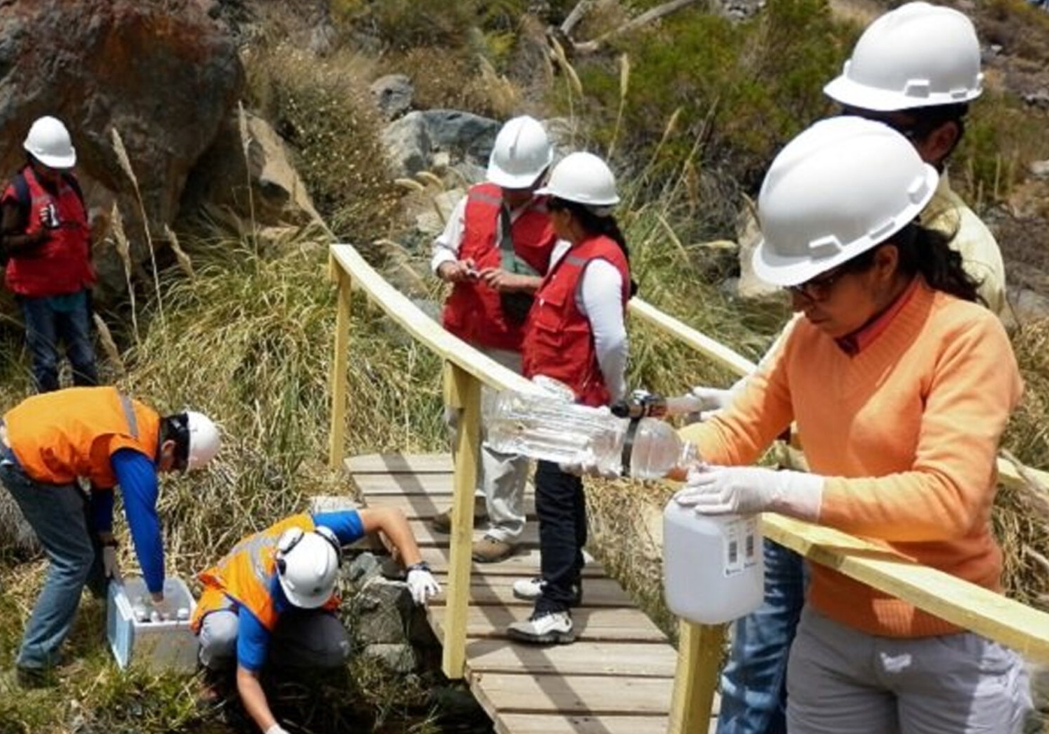 Monitoreo y Vigilancia Ambiental y Social
